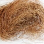 Coco Fiber