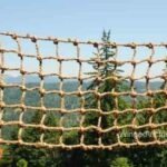 LG Net